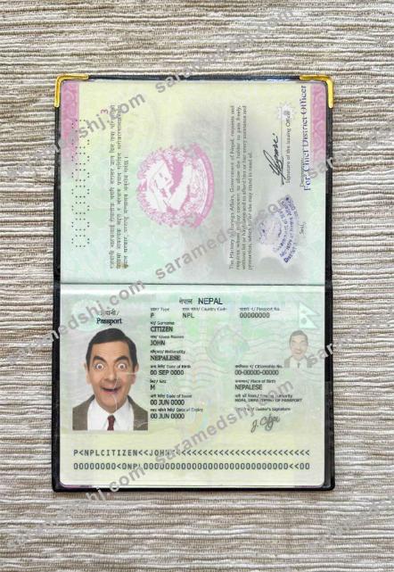 Nepal passport photo look
